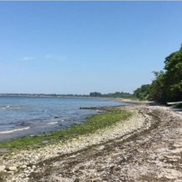 Smuk natur på kyststrækningen mellem Båringskov og Bro Strand-Middelfart