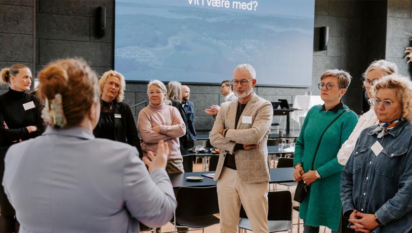 Samarbejde & Netværk