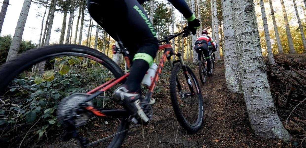 Mountainbikeryttere i fuld fart op af bakke