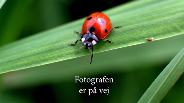 Fotografen er på vej