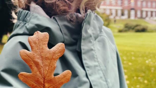 Pige med efterårsblad i Hindsgavl Slotspark 