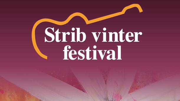 Strib Vinter Festival i Middelfart