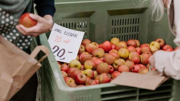 Æblefestivallen i Middelfart, køb æbler, juice og meget mere