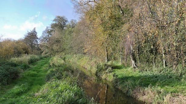 Naturskøn vandrerute mellem Ejby og Kingstrup Mose