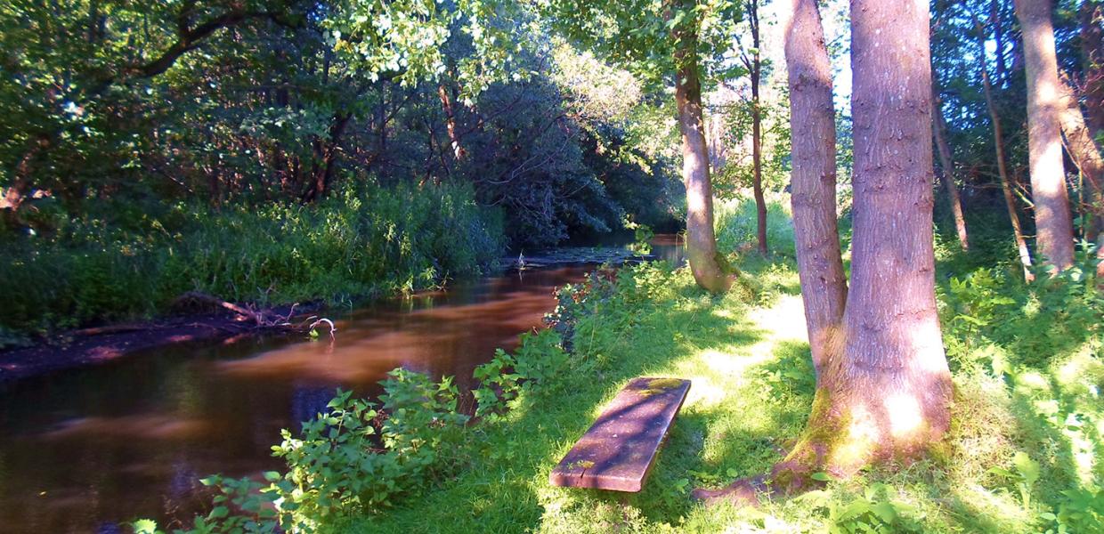 En fantastisk natur - Brænde Ådal-Gelsted