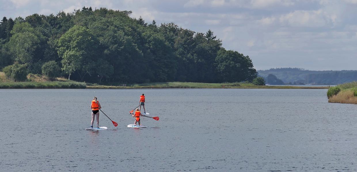 SUP på Gamborg Fjord i Middelfart