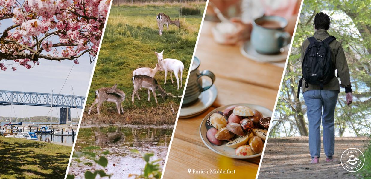 Forår i Middelfart