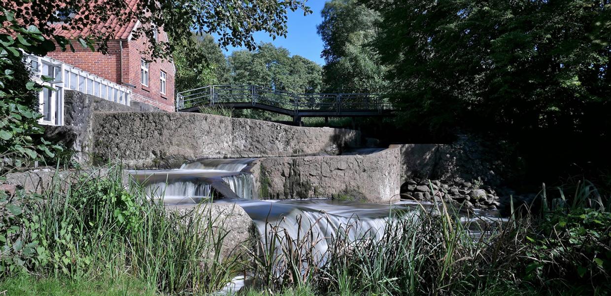 Fisketrapperne ved Brænde Mølle
