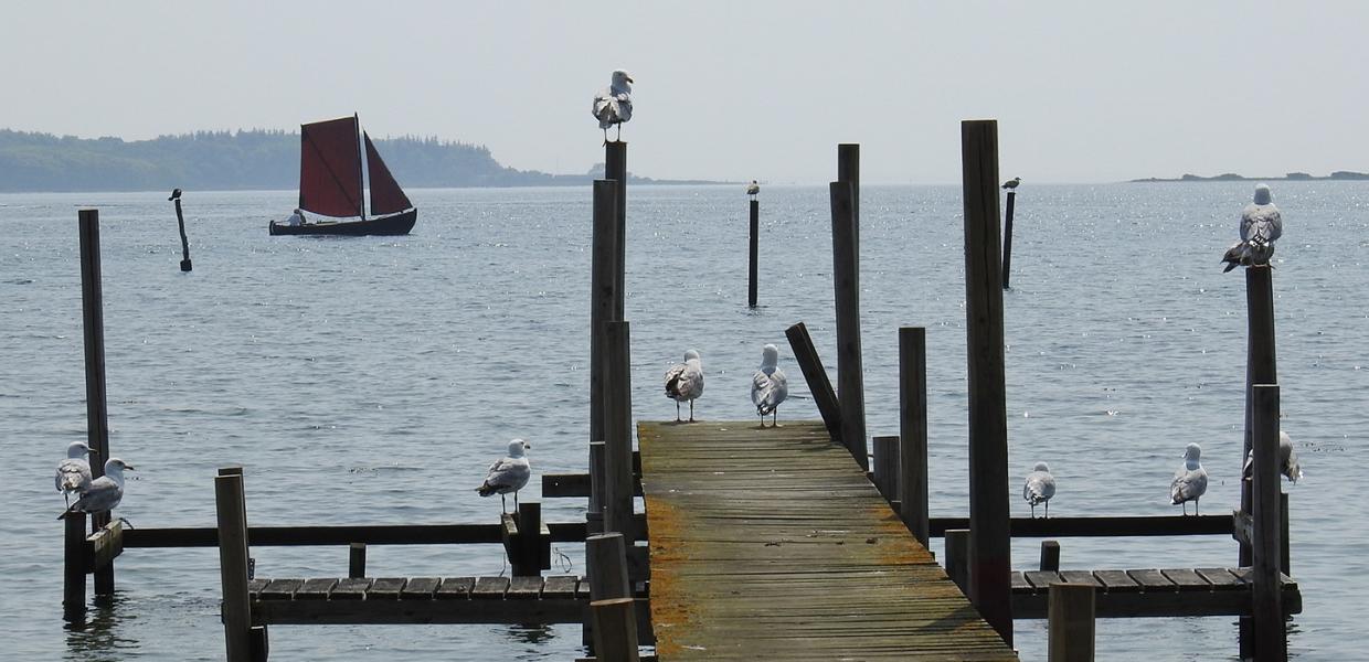 Stilhed og ro finder du ved Fænø Sund i Middelfart
