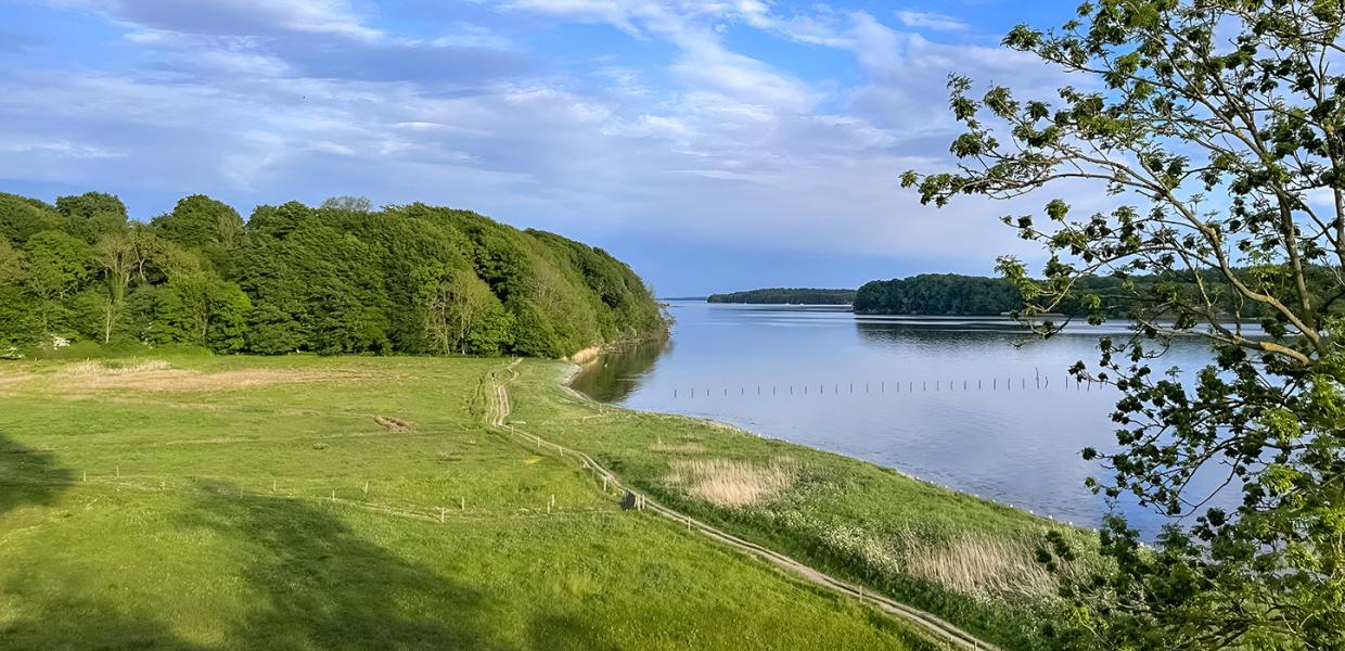 Stien ved Voldsted for Hindsgavl Gl. Slot er en del af Lillebæltstien