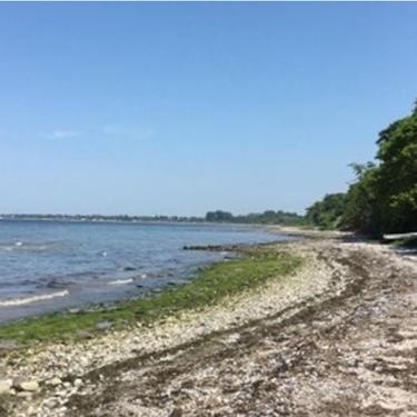 Smuk natur på kyststrækningen mellem Båringskov og Bro Strand-Middelfart