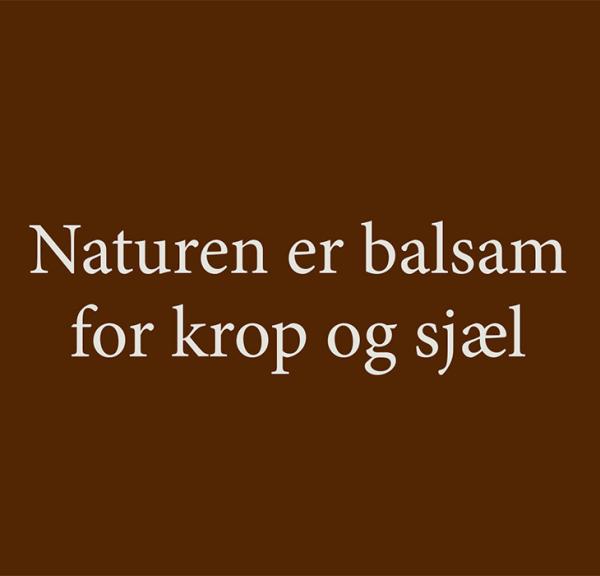 Naturen er balsam for krop og sjæl - Middelfart