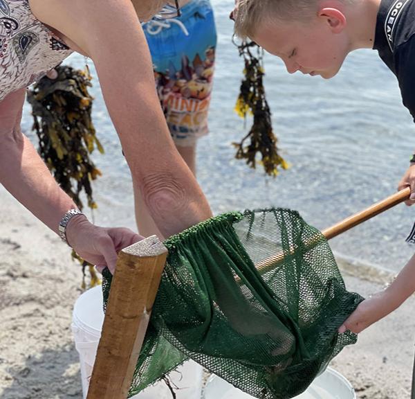 Oplev livet ved strandene i Middelfart