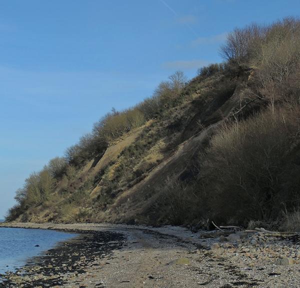 Geologi på Røjle Klint i Strib ved Middelfart