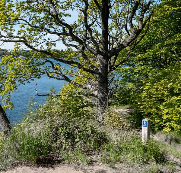 Smuk udsigt fra Lillebæltstien ved Galsklint i Middelfart