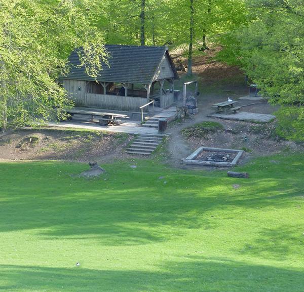 Tage et hvil, kig på dyrene, nyd din medbragte madpakke - Kobakken - Middelfart