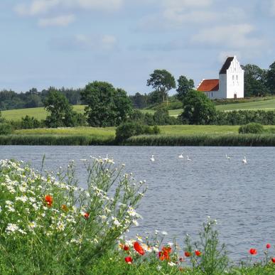 På vandretur ved Føns kommer du forbi Kirken - Middelfart