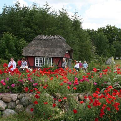 Åben have på Humlemagasinet i Harndrup - Middelfart