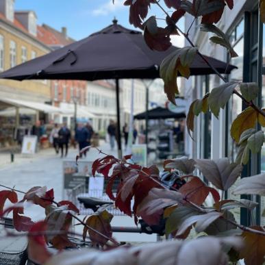 Billede af Algade med mennesker og blomster