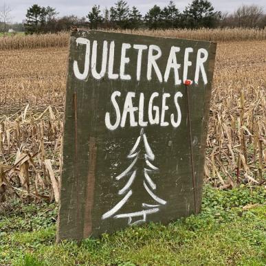Juletræer sælges
