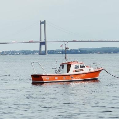 Sejlbåd i Middelfart med Den nye Lillebæltsbro i baggrunden