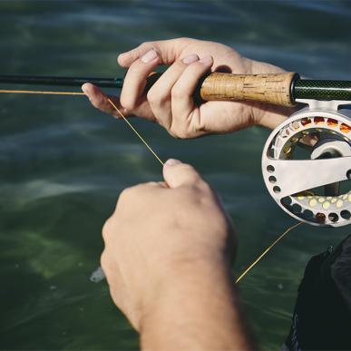 Fisketur i Middelfart - Hav eller sø