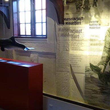 Marsvinsjægerne historie - Middelfart Museum