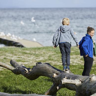 Stranden ved Vejlby Fed - mulighed for leg og læring