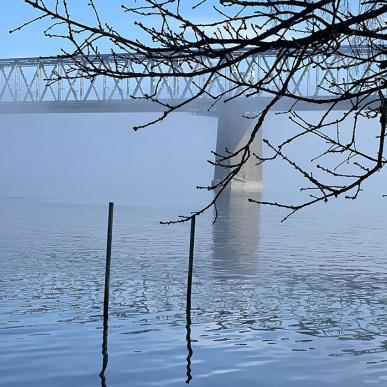 Lyset ved Lillebælt finder du i mange kunstværker fra Middelfart