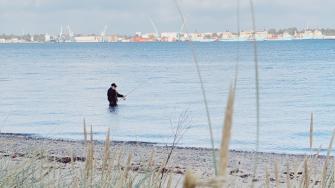 Seminar hoste chikane Lystfiskeri | Middelfart