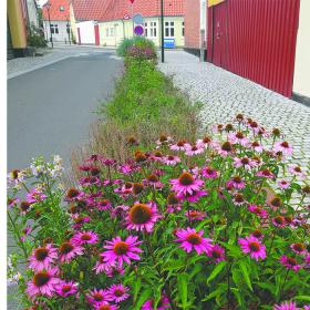 Selvvandende blomsterbede-Klimabyen-Middelfart