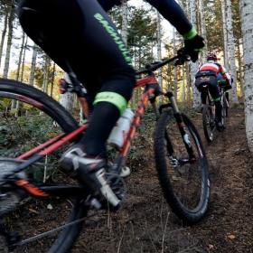 Mountainbikeryttere i fuld fart op af bakke