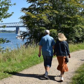 Lillebæltsstien løber langs Lillebælt på Hindsgavl Halvøen - Middelfart