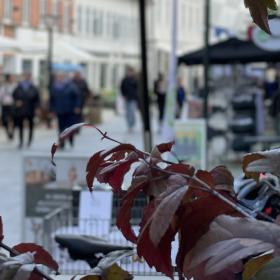 Shop i en af Middelfarts mange butikker
