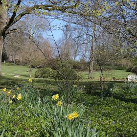 Hindsgavl Slot hvor de smukke påskeliljer blomstrer i parken