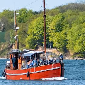MS Sabine på Hvalsafari på Lilebælt