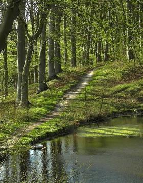 Lillebæltsstien-Hindsgavl Halvøen-Middelfart