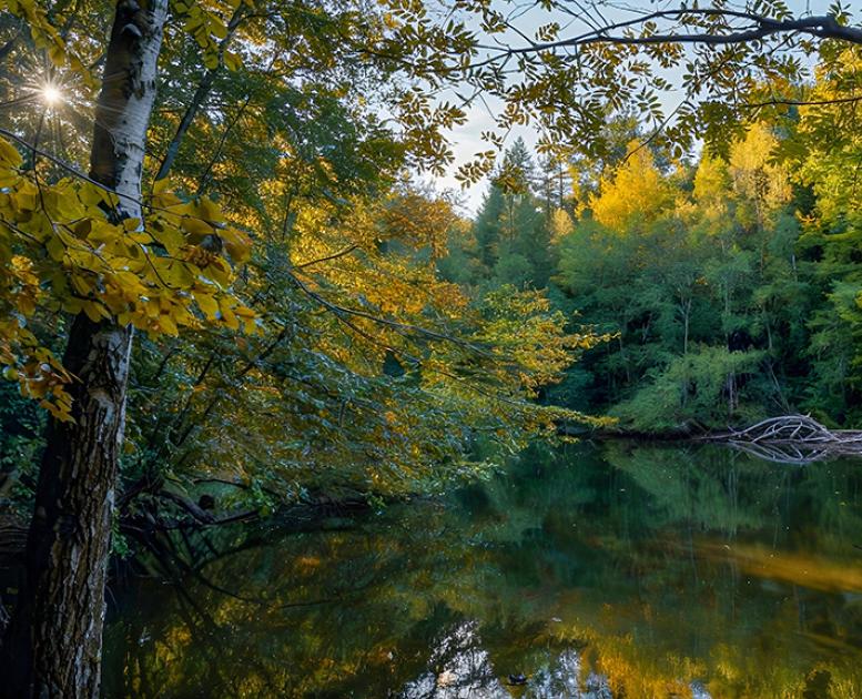 Efterårsstemning ved Batteriplantagen_Hindsgavl Halvøen_Middelfart